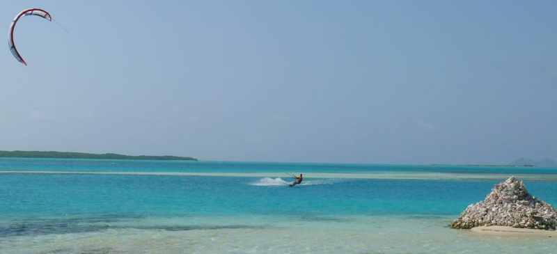 roques101