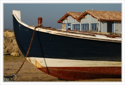 -pinasse-et-cabane