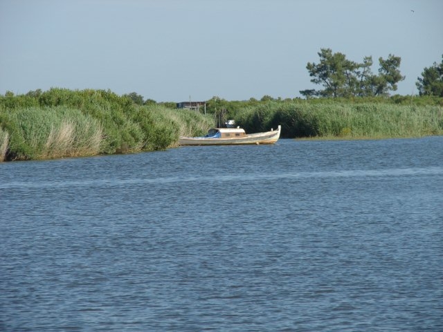 pinasse